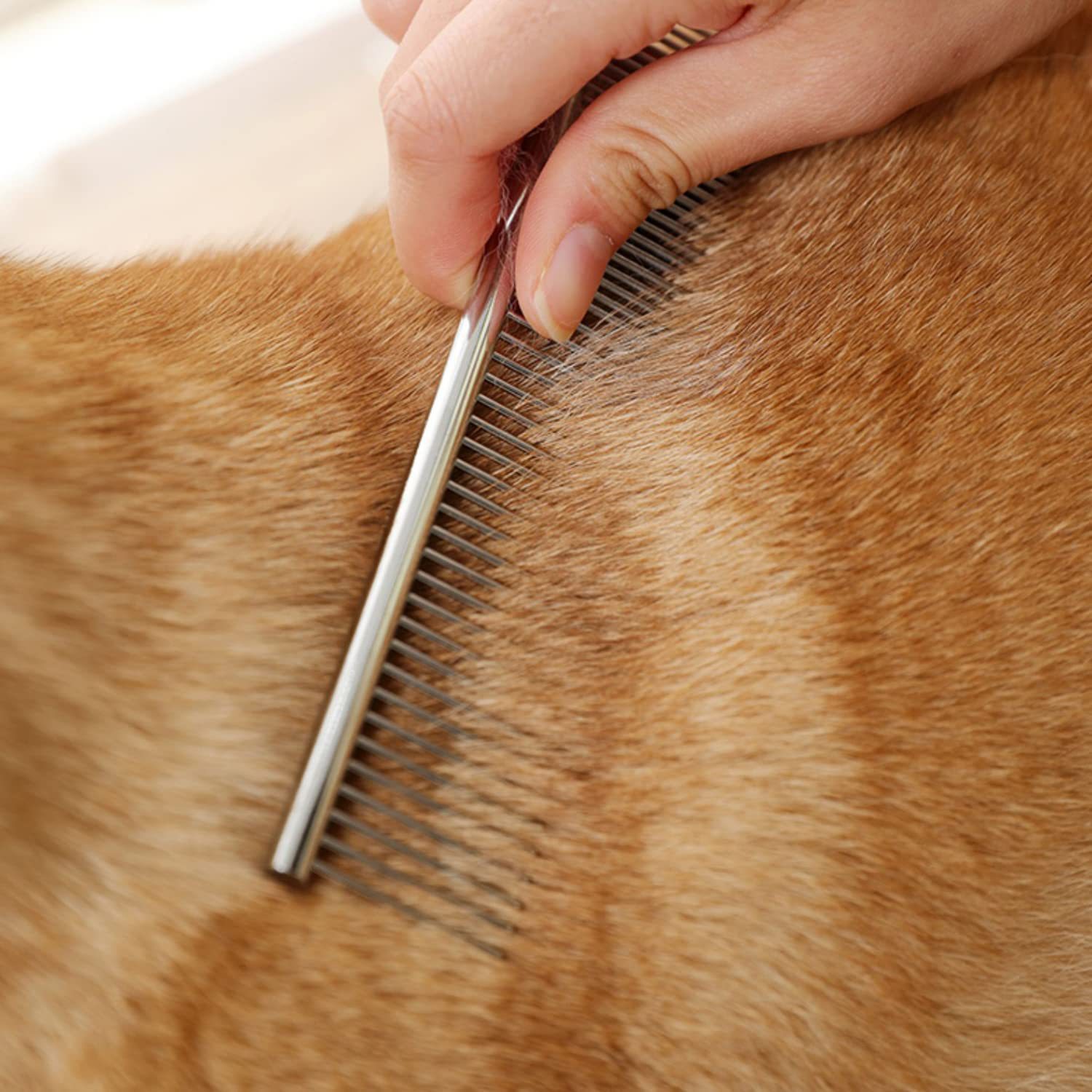 dog hair removal comb stainless steel pet grooming combs gently removes loose knotted hair dogs cats cleaning beauty comb details 6